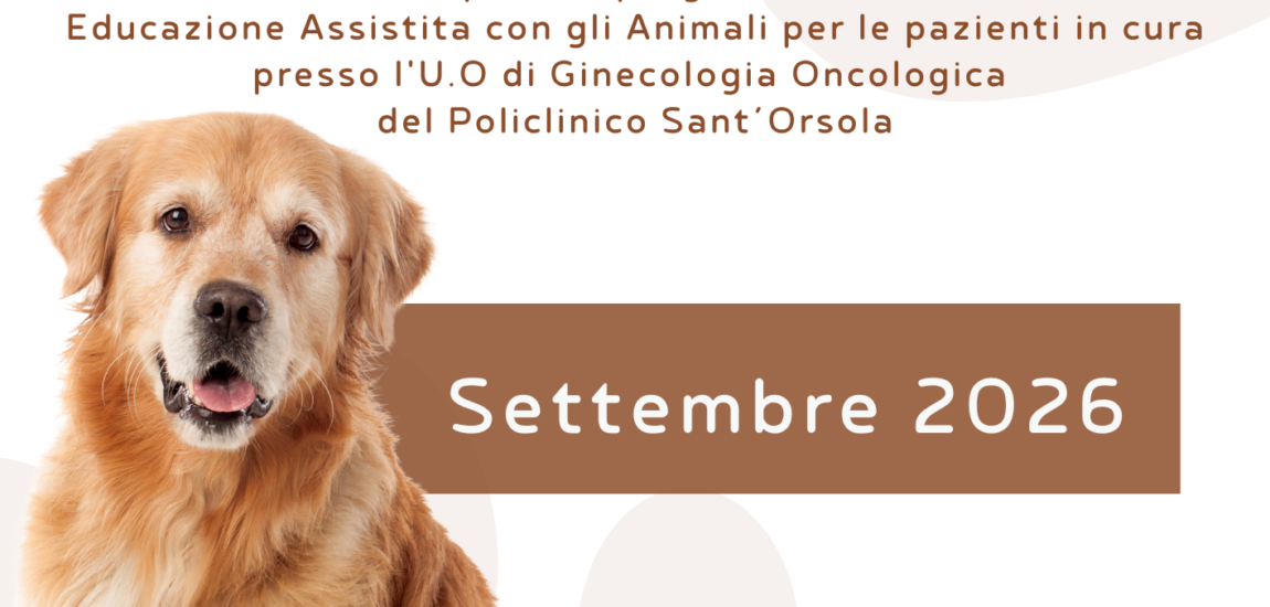 pet-therapy-in-hospital-2