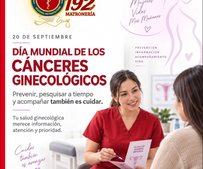 consejo-regional-metropolitano-colegio-de-matrones-de-chile-supports-world-go-day